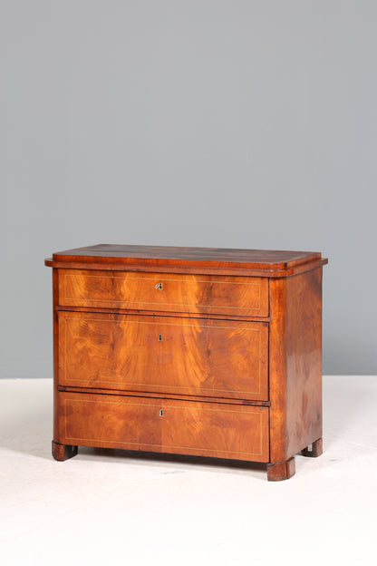 Wunderschöne Biedermeier Kommode Antik Schrank Schubladenkommode Wäschekommode