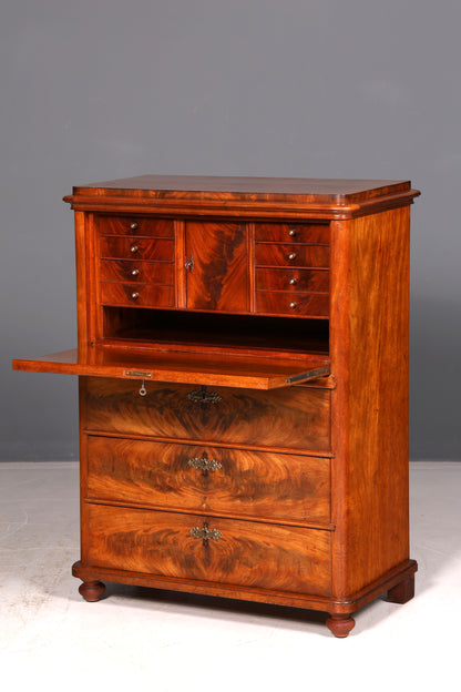 Wunderschöner Louis Philippe Sekretär Vertiko Highboard Gründerzeit Kommode Schrank um 1880 Antik Vintage