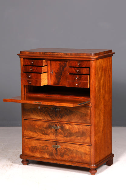 Wunderschöner Louis Philippe Sekretär Vertiko Highboard Gründerzeit Kommode Schrank um 1880 Antik Vintage