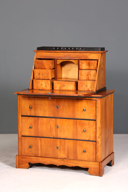 Wunderschöner Original Biedermeier Sekretär um 1860 Kommode Antik Bürokommode Englisch Säulen