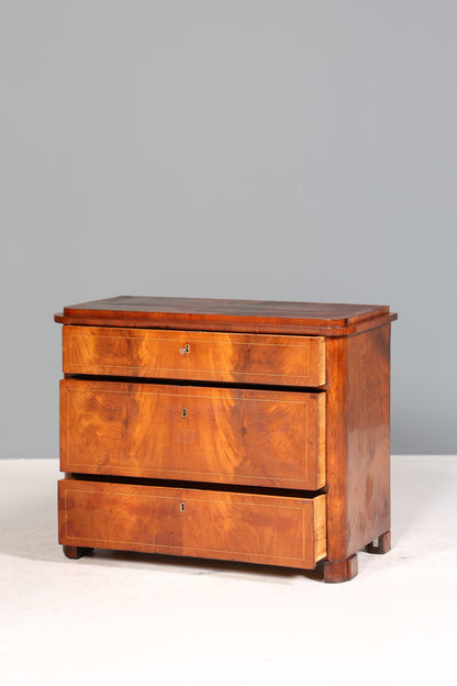 Wunderschöne Biedermeier Kommode Antik Schrank Schubladenkommode Wäschekommode