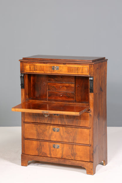 Stilvoller Gründerzeit Sekretär Vertiko Highboard Jugendstil Kommode Schrank um 1880