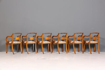 6x Wunderschöne Englische Stühle Englisch Dining Chairs Armlehnstuhl Set Küchenstühle Stuhlset Armlehnstühle