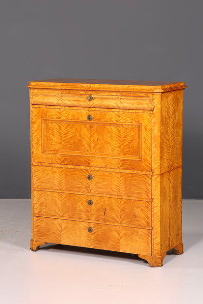 Impressive Biedermeier Secretary Cabinet, Antique Vertiko Chest of Drawers, Office Writing Desk, Sideboard