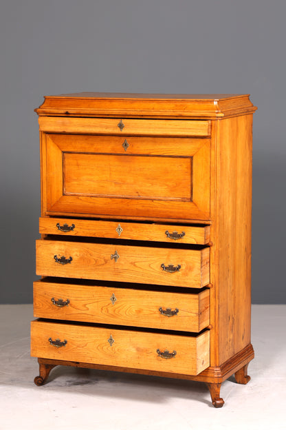 Wunderschöner Original Biedermeier Sekretär um 1860 Kommode Antik Bürokommode