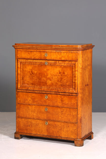 Edler Biedermeier Sekretär Vertiko Louis Philippe Highboard Kommode Schrank um 1880