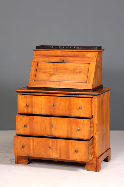 Wunderschöner Original Biedermeier Sekretär um 1860 Kommode Antik Bürokommode Englisch Säulen
