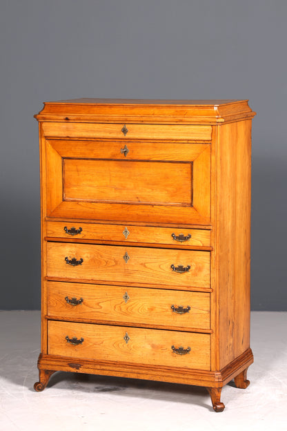 Wunderschöner Original Biedermeier Sekretär um 1860 Kommode Antik Bürokommode