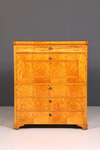 Impressive Biedermeier Secretary Cabinet, Antique Vertiko Chest of Drawers, Office Writing Desk, Sideboard