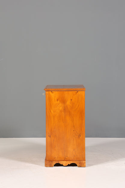 Traumhafte Original Biedermeier Kommode Antik Schrank Schubladenkommode Wäschekommode