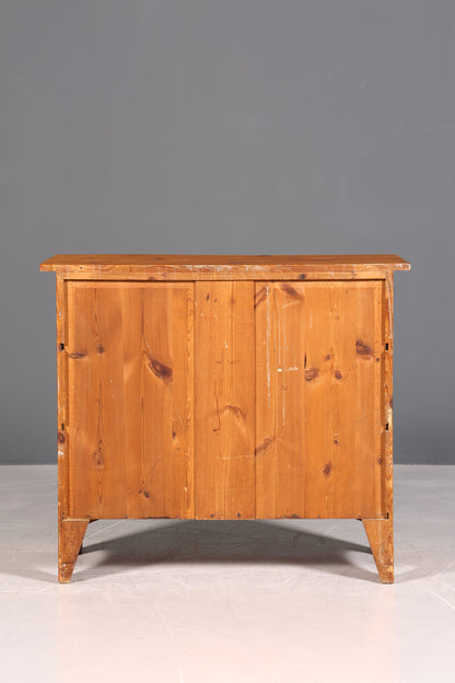 F974 Finish Wunderschöne Gründerzeit Kommode Jugendstil Antik Sideboard Schubladenkommode Wäschekommode