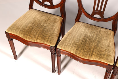 6x Traumhafte Stühle im Gustavianischen Stil Englisch Küchenstühle Antik Stuhl Set Esszimmer