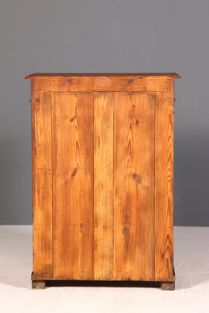 Traumhafter Gründerzeit Schrank Louis Philippe Vertiko Antik Highboard Kommode Dielenschrank