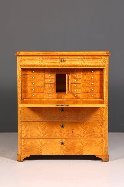 Impressive Biedermeier Secretary Cabinet, Antique Vertiko Chest of Drawers, Office Writing Desk, Sideboard