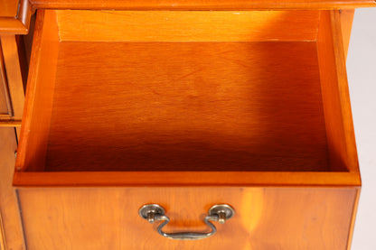 Edle Englische Vitrine Bücherschrank Buffet Antik Stil Englisch Eibe Glasvitrine Bibliothek