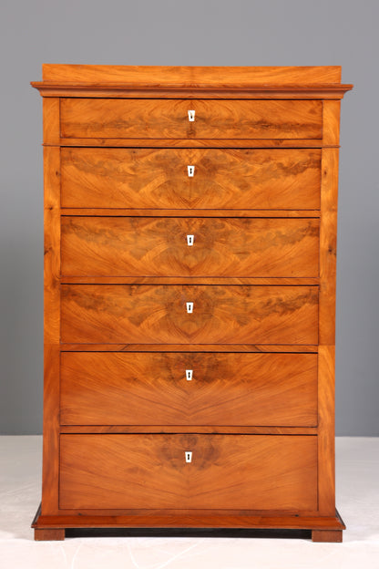 Wunderschöne Original Biedermeier Chiffoniere Kommode Vertiko Antik um 1880 Schubladenkommode