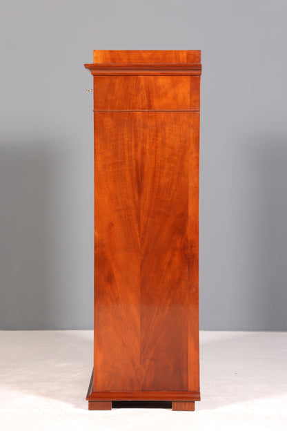 Wunderschöne Original Biedermeier Chiffoniere Kommode Vertiko Antik um 1880 Schubladenkommode