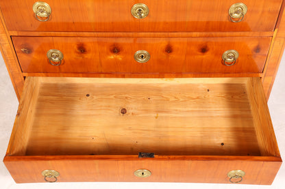 Wunderschöne Original Biedermeier Kommode Antik um 1880 Schubladenkommode Wäschekommode