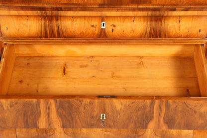 Stilvolle Original Biedermeier Kommode um 1860 Antik Schrank Schubladenkommode Wäschekommode