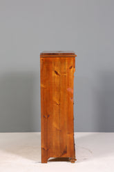 Stilvoller Gründerzeit Sekretär Vertiko Highboard Jugendstil Kommode Schrank um 1880