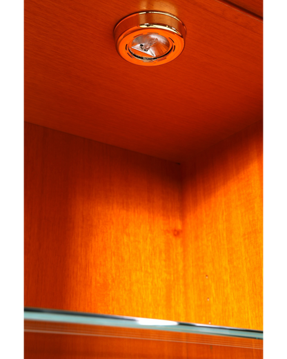 Hauptstadt Möblerei Heldense Vitrine aus Eibenholz mit integrierter Innenbeleuchtung im Detail
