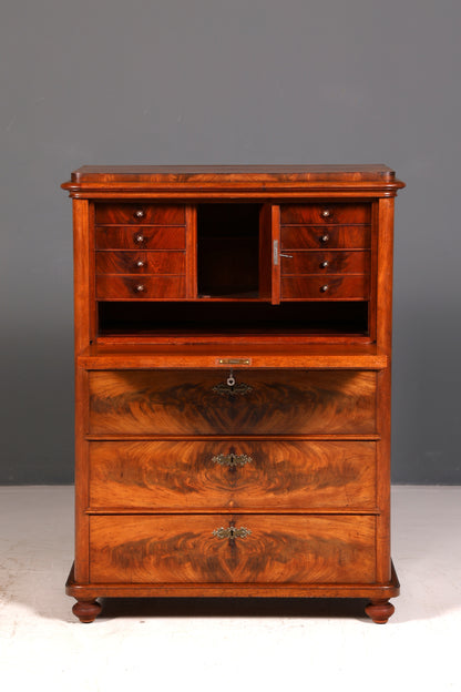 Wunderschöner Louis Philippe Sekretär Vertiko Highboard Gründerzeit Kommode Schrank um 1880 Antik Vintage