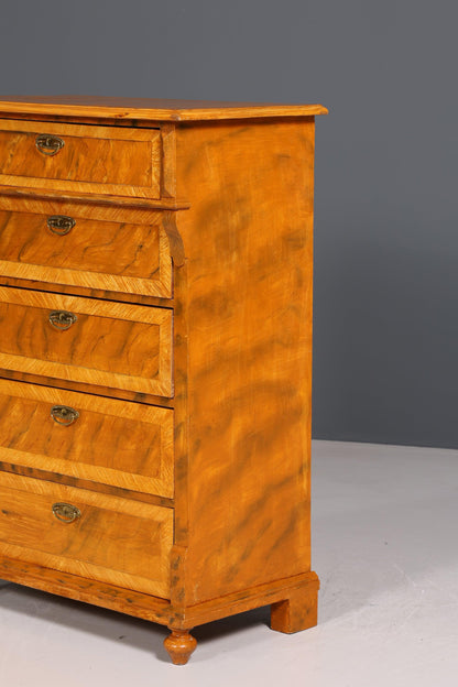 Traumhaftes Gründerzeit Vertiko Jugendstil Schrank Antik Highboard Kommode Schubladenkommode