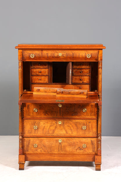 Edler Gründerzeit Sekretär Vertiko Highboard Jugendstil Kommode Schrank um 1880