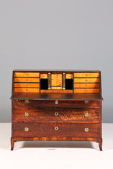 Wunderschöner Original Biedermeier Sekretär um 1860 Englisch Kommode Antik Bürokommode