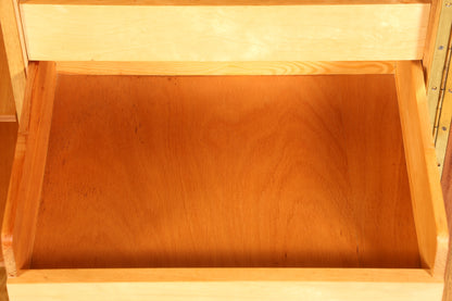 Traumhafter Mid Century Kleiderschrank Vintage Schrank Aktenschrank Retro Wäscheschrank
