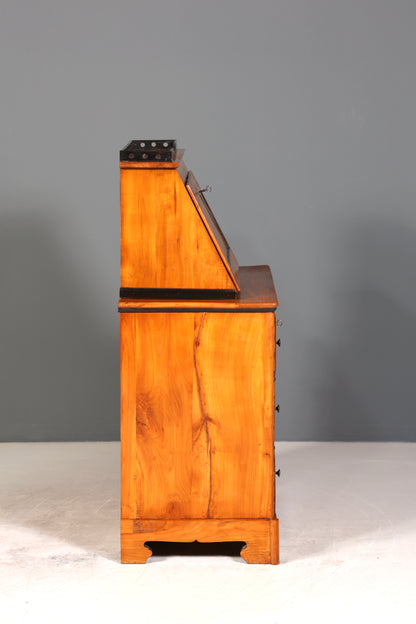 Wunderschöner Original Biedermeier Sekretär um 1860 Kommode Antik Bürokommode Englisch Säulen