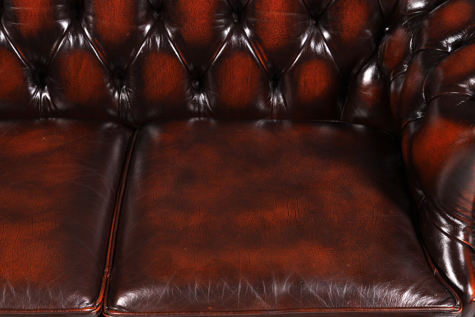 Edles Original Chesterfield Centurion 2er Sofa englisch echt Leder 2-Sitzer Couch