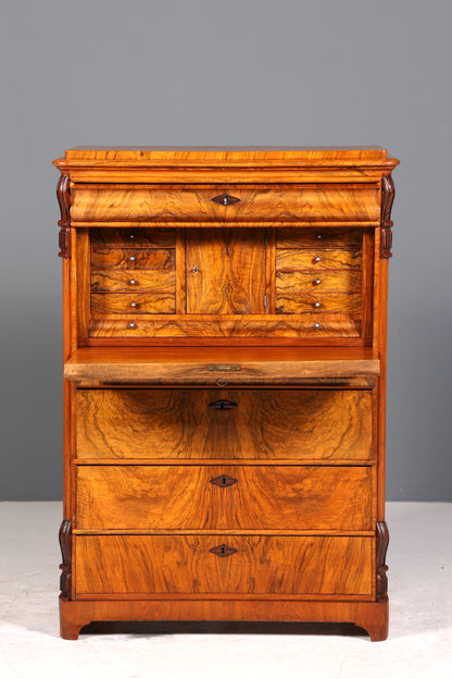 E903 Finish Wunderschöner Gründerzeit Sekretär Vertiko Highboard Louis Philippe Kommode um 1880