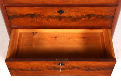 F975 Finish Traumhafte Gründerzeit Kommode Jugendstil Schubladenkommode Antik Vertiko Wäschekommode