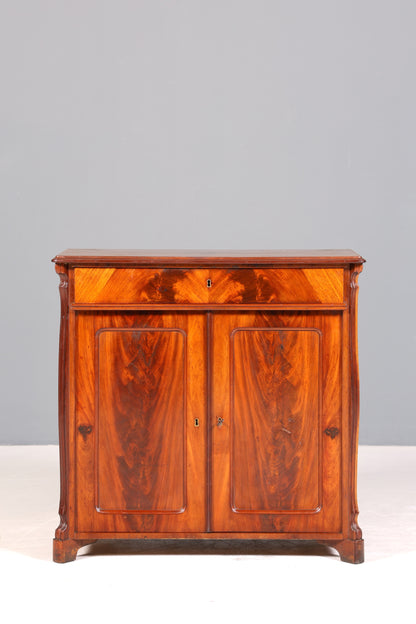 Traumhafter Louis Philippe Schrank um 1880 Gründerzeit Kommode Antik Sideboard