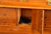 Edler Louis Philippe Sekretär um 1880 Gründerzeit Antik Schrank Chiffoniere Highboard