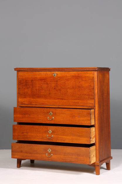 Stilvoller Biedermeier Sekretär Jugendstil Vertiko Antik Kommode Schreibkommode