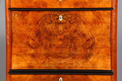 Stylish Biedermeier Secretary Vertiko Antique Chest of Drawers Louis Philippe Writing Desk