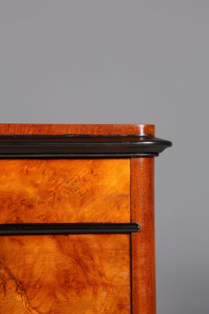 Stylish Biedermeier Secretary Vertiko Antique Chest of Drawers Louis Philippe Writing Desk