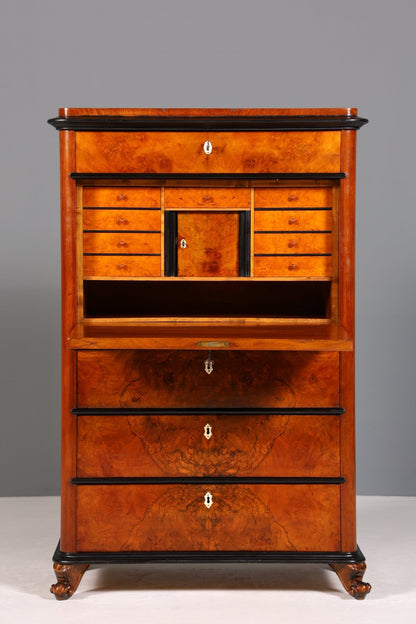 Stylish Biedermeier Secretary Vertiko Antique Chest of Drawers Louis Philippe Writing Desk