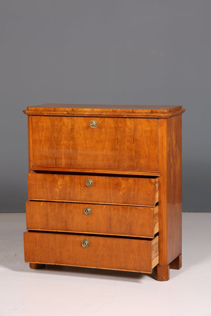 Beautiful Biedermeier Secretary Vertiko Antique Chest of Drawers Office Writing Desk