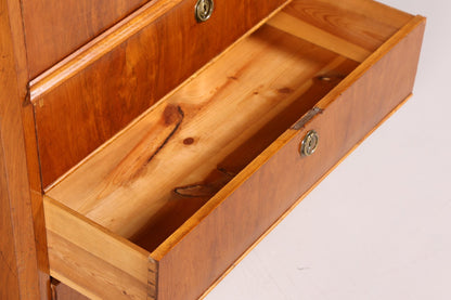 Beautiful Biedermeier Secretary Vertiko Antique Chest of Drawers Office Writing Desk