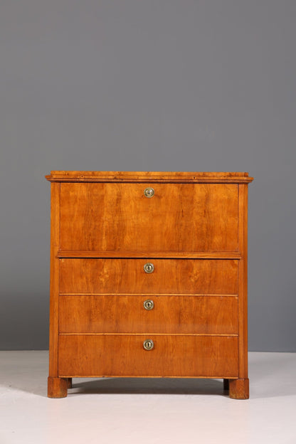 Beautiful Biedermeier Secretary Vertiko Antique Chest of Drawers Office Writing Desk