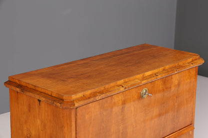 Beautiful Biedermeier Secretary Vertiko Antique Chest of Drawers Office Writing Desk