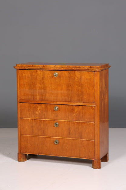 Beautiful Biedermeier Secretary Vertiko Antique Chest of Drawers Office Writing Desk