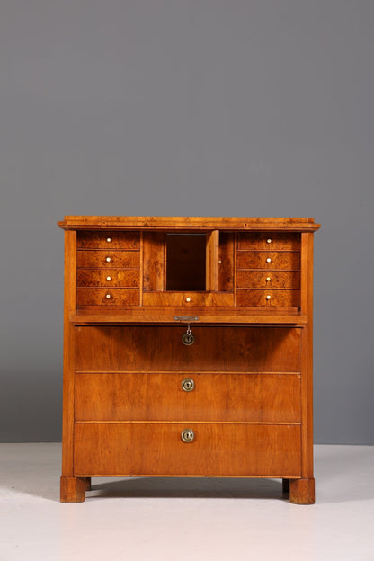 Beautiful Biedermeier Secretary Vertiko Antique Chest of Drawers Office Writing Desk