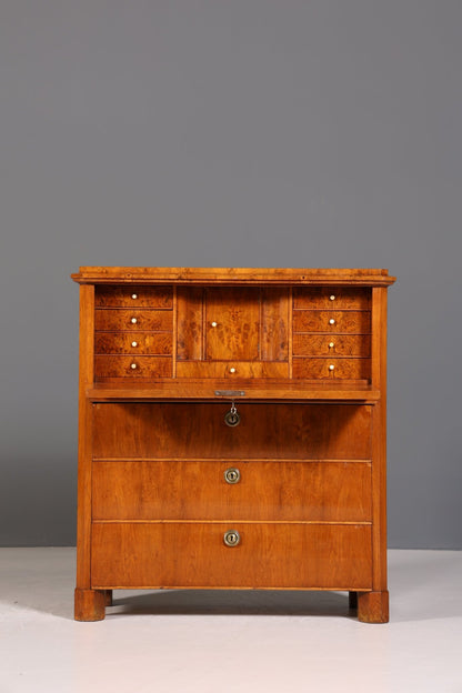 Beautiful Biedermeier Secretary Vertiko Antique Chest of Drawers Office Writing Desk
