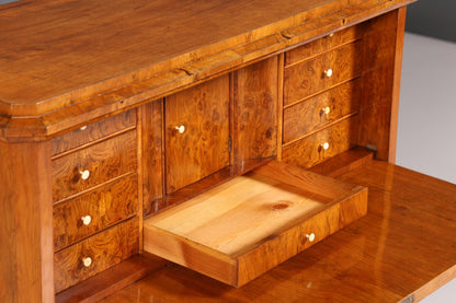 Beautiful Biedermeier Secretary Vertiko Antique Chest of Drawers Office Writing Desk